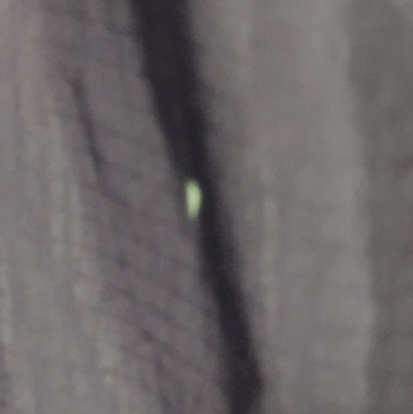 Vintage Adidas Reversible Anorak Jacket Men S Black Zebra Sporty Athletic - Picture 10 of 10